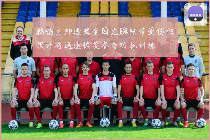 鹈鹕主帅透露奎因左腕韧带受伤但预计将迅速恢复参与对抗训练